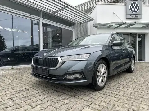 Annonce SKODA OCTAVIA Diesel 2020 d'occasion 