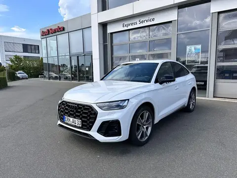 Annonce AUDI SQ5 Diesel 2023 d'occasion 