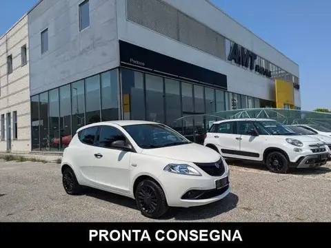 Used LANCIA YPSILON Petrol 2019 Ad 