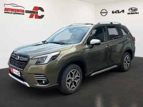 Annonce SUBARU FORESTER Essence 2024 d'occasion 