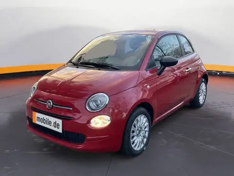 Used FIAT 500 Petrol 2023 Ad 