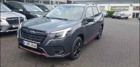 Used SUBARU FORESTER Petrol 2024 Ad 