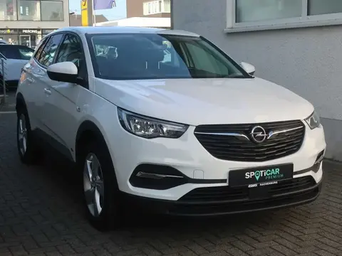 Used OPEL GRANDLAND Hybrid 2021 Ad 