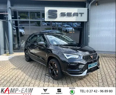 Annonce CUPRA ATECA Essence 2024 d'occasion 