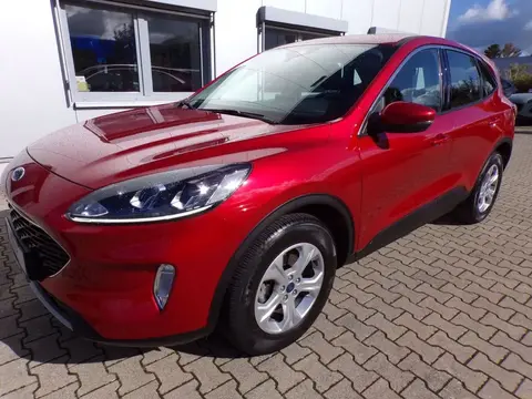 Used FORD KUGA Petrol 2020 Ad 