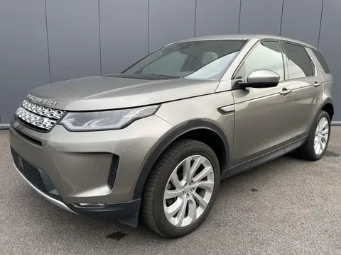 Used LAND ROVER DISCOVERY Diesel 2019 Ad Belgium