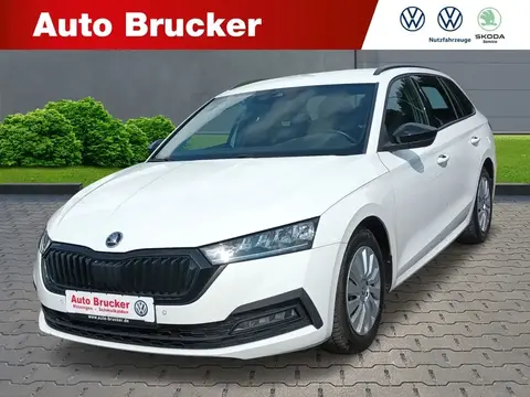 Used SKODA OCTAVIA Diesel 2021 Ad 