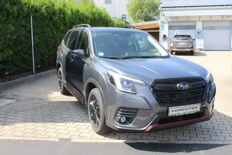 Used SUBARU FORESTER Petrol 2023 Ad 