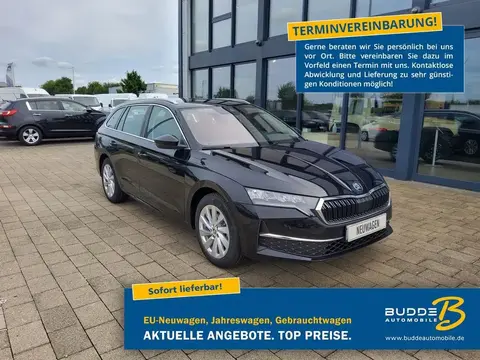 Annonce SKODA OCTAVIA Diesel 2024 d'occasion 