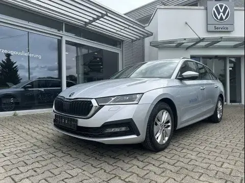 Used SKODA OCTAVIA Diesel 2020 Ad 