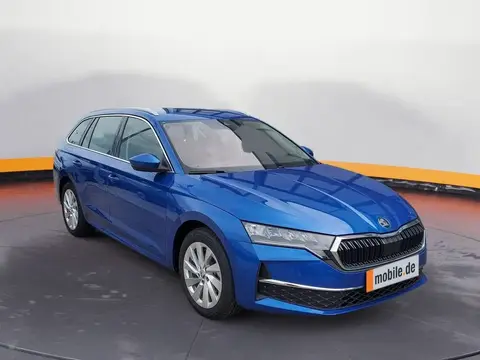 Annonce SKODA OCTAVIA Diesel 2024 d'occasion 