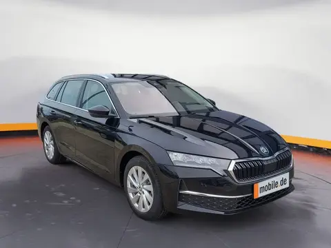 Annonce SKODA OCTAVIA Diesel 2024 d'occasion 