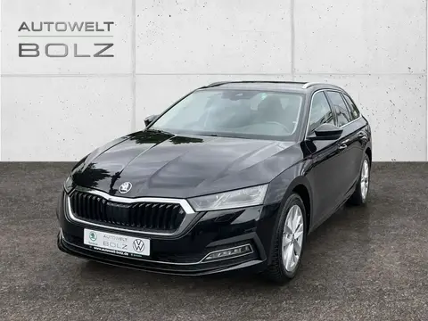 Annonce SKODA OCTAVIA Diesel 2023 d'occasion 