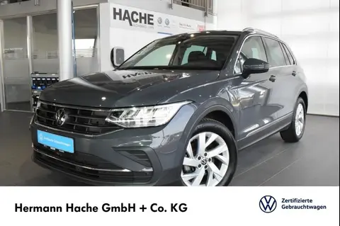 Used VOLKSWAGEN TIGUAN Diesel 2023 Ad 