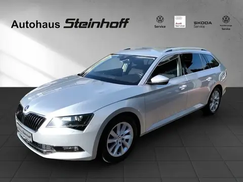 Used SKODA SUPERB Diesel 2019 Ad 