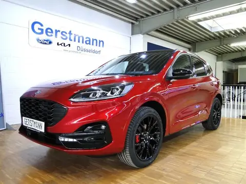 Used FORD KUGA Hybrid 2023 Ad 