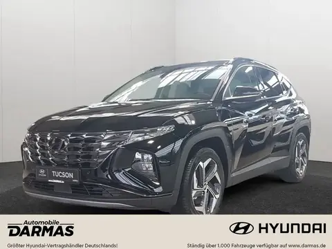 Annonce HYUNDAI TUCSON Hybride 2024 d'occasion 