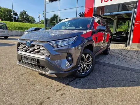 Annonce TOYOTA RAV4 Hybride 2024 d'occasion Allemagne