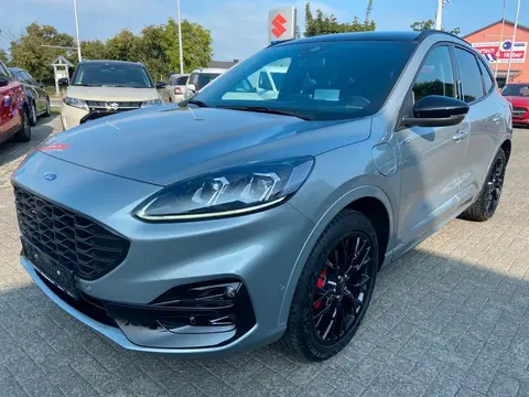 Annonce FORD KUGA Hybride 2023 d'occasion 