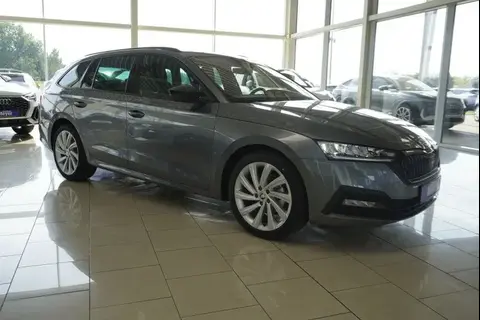 Used SKODA OCTAVIA Petrol 2023 Ad 