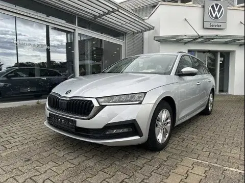 Used SKODA OCTAVIA Diesel 2020 Ad 