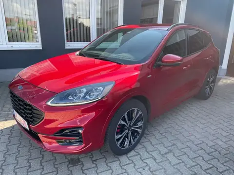 Annonce FORD KUGA Diesel 2020 d'occasion 