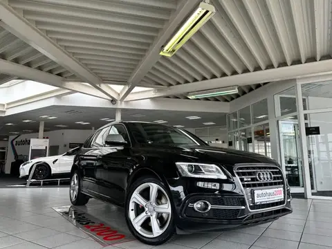 Annonce AUDI SQ5 Diesel 2015 d'occasion 