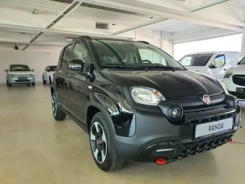 Annonce FIAT PANDA Essence 2024 d'occasion 