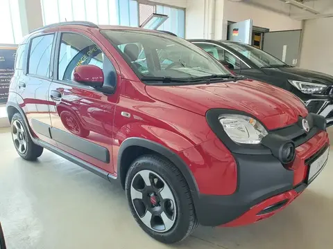 Annonce FIAT PANDA Essence 2024 d'occasion 