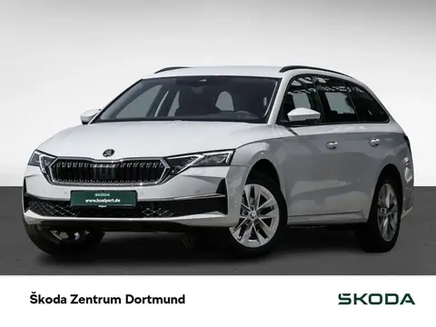 Annonce SKODA OCTAVIA Diesel 2024 d'occasion 