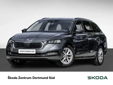 Used SKODA OCTAVIA Petrol 2024 Ad 