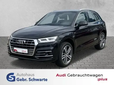 Used AUDI Q5 Diesel 2019 Ad 