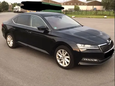 Used SKODA SUPERB Diesel 2020 Ad 