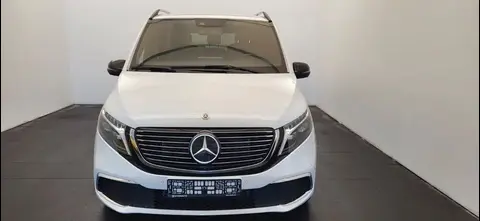 Used MERCEDES-BENZ EQV Not specified 2020 Ad 