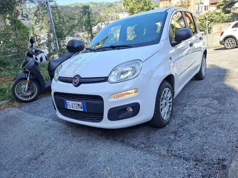 Used FIAT PANDA Diesel 2017 Ad 