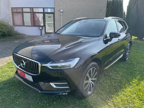 Used VOLVO XC60 Diesel 2019 Ad 