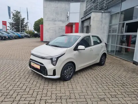 Used KIA PICANTO Petrol 2024 Ad 