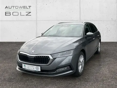 Annonce SKODA OCTAVIA Diesel 2023 d'occasion 