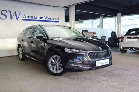 Used SKODA OCTAVIA Diesel 2020 Ad 