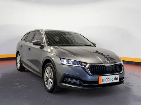 Used SKODA OCTAVIA Diesel 2024 Ad 