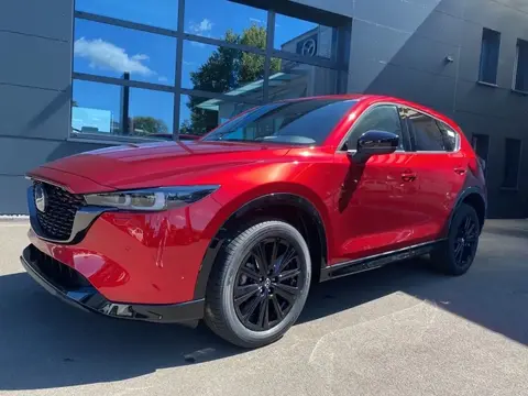 Annonce MAZDA CX-5 Hybride 2024 d'occasion Allemagne