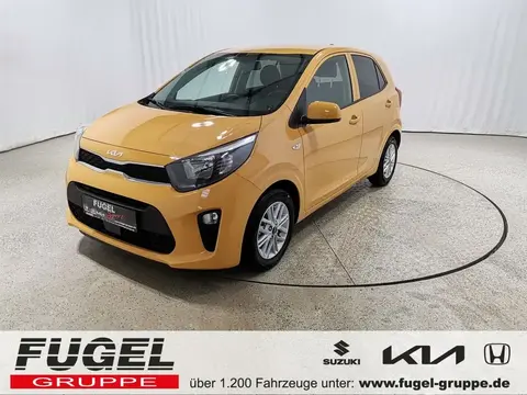 Annonce KIA PICANTO Essence 2024 d'occasion 