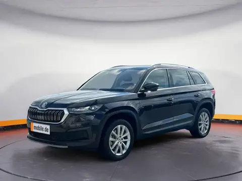 Used SKODA KODIAQ Diesel 2023 Ad 