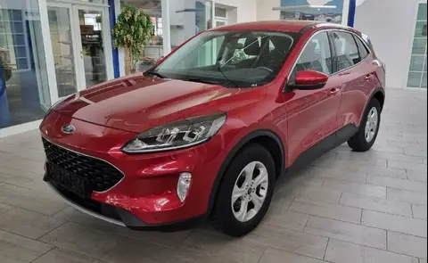 Used FORD KUGA Diesel 2020 Ad 