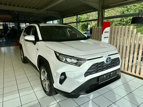 Annonce TOYOTA RAV4 Hybride 2020 d'occasion Allemagne