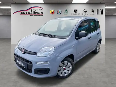 Annonce FIAT PANDA Essence 2022 d'occasion 