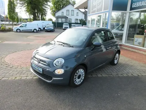 Used FIAT 500 Petrol 2021 Ad 