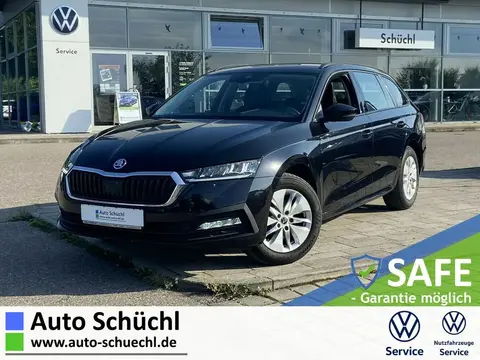 Used SKODA OCTAVIA Diesel 2021 Ad 