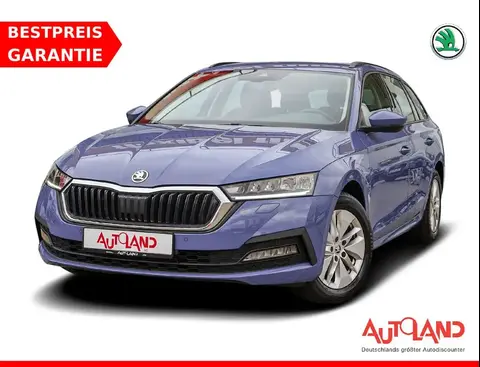 Used SKODA OCTAVIA Petrol 2020 Ad 