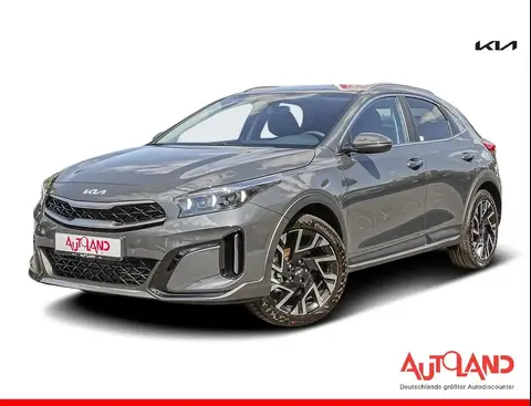 Annonce KIA XCEED Essence 2024 d'occasion 